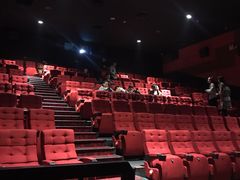 -龙之星国际影城(太平店)