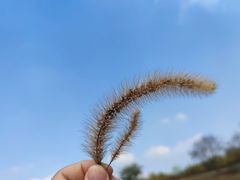 -南京市江宁方山