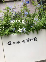 -Dr.U博士医疗美容医院