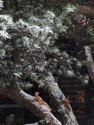-保丽宝泰母婴护理院·月子中心·产康·中医(常州店)