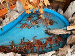 -耕海蟹将军(万象城店)