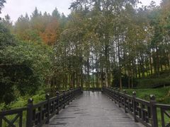 -唐崖土司城遗址