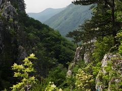 -王顺山国家森林公园