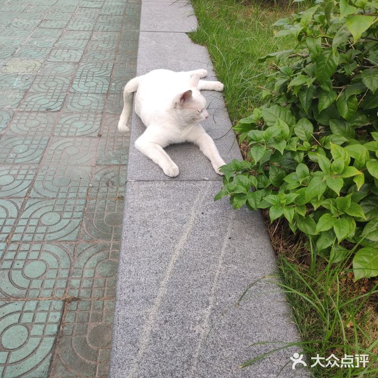 你见过彩虹宿舍楼吗??