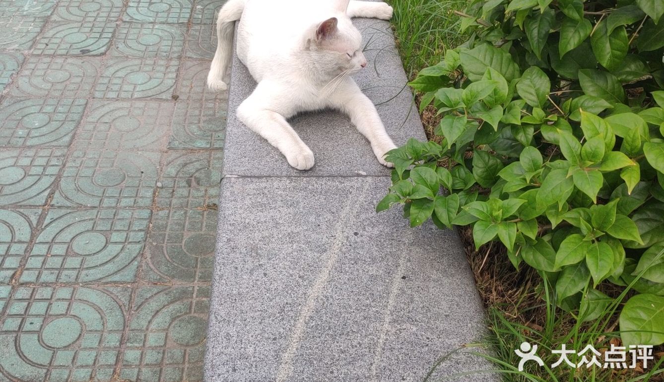 你见过彩虹宿舍楼吗？？