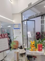 -松源造型