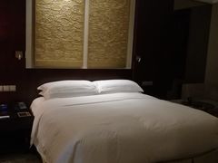 -北京首都机场希尔顿酒店