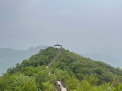 -大岭沟猕猴桃谷风景区