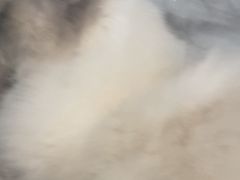 -佳雯宠物医院·皮肤科·内外科(春晓路分院)