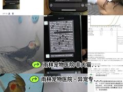 -雨林宠物医院 非犬猫异宠专科