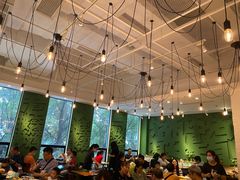 大堂-又鸟pizza海南鸡饭(假日广场店)