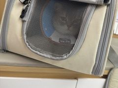 -瑞派康怡24h宠物医院·犬猫医疗中心·微创绝育(瑞景分院)