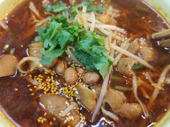 肥肠苕粉-脑馋粉儿(三里屯店)