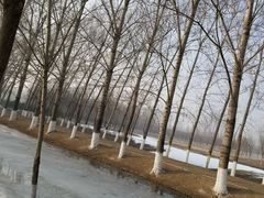 -东郊湿地公园