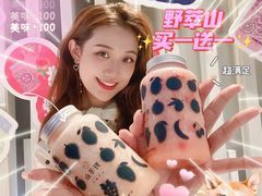 -野萃山·潮汕厚果汁(十亩地店)