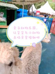 -萌宠亲子动物乐园(槐房万达店)