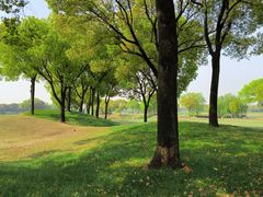 -旭宝高尔夫俱乐部