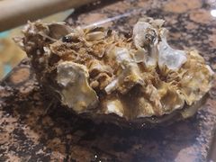 -拉完海鲜大排档(温岭店)