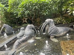 -横琴湾水世界