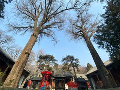 -泰山风景名胜区-普照寺
