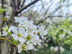 -森居forest休闲咖啡聚集地