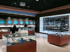 -青岛贝壳博物馆