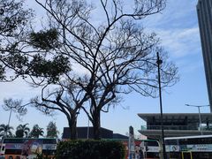 -香港回归祖国纪念碑