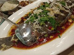 -锦顺海鲜•口味菜(李村店)