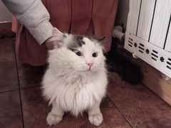 -鸥迪足道会馆(北京街店)