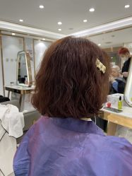 -镁连社·美联社