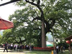 -新安江山水画廊风景区