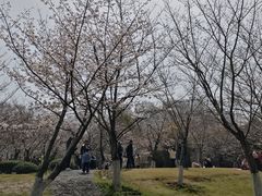 -堤角公园