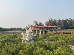 -北海金海湾红树林生态旅游区