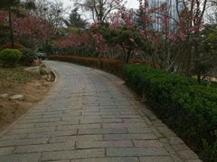 -贮水山儿童公园