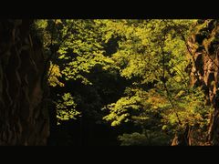 -尧山大峡谷漂流