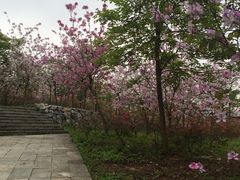 -凤岭儿童公园