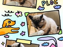 -白兔子密室(长寿路店)