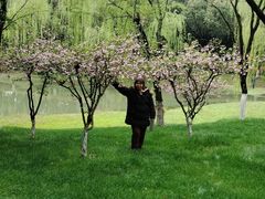-桐乡植物园
