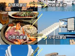 -日照海滨国家森林公园
