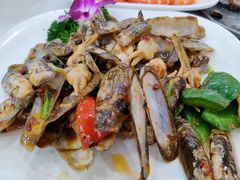 蛏子-湛江渔港·大排档(乐园路总店)