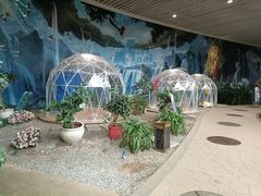 -花之城