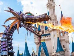 -奥兰多迪士尼动物王国乐园