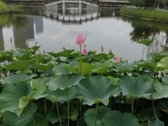 -西海子公园