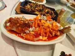 -金蝉食府(维吉奥广场店)
