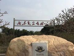 -广东茂名森林公园
