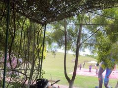 -紫颐香薰山谷景区