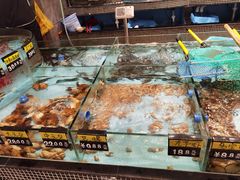 水产区-怀德酒楼·粤菜·海鲜·茶点(宝安国际机场店)