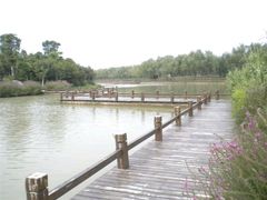 -艾溪湖湿地公园