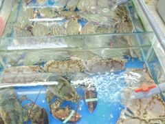 -日照大牌檔•小船海鲜(万平口店)