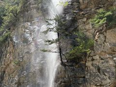 -青峰峡国家森林公园